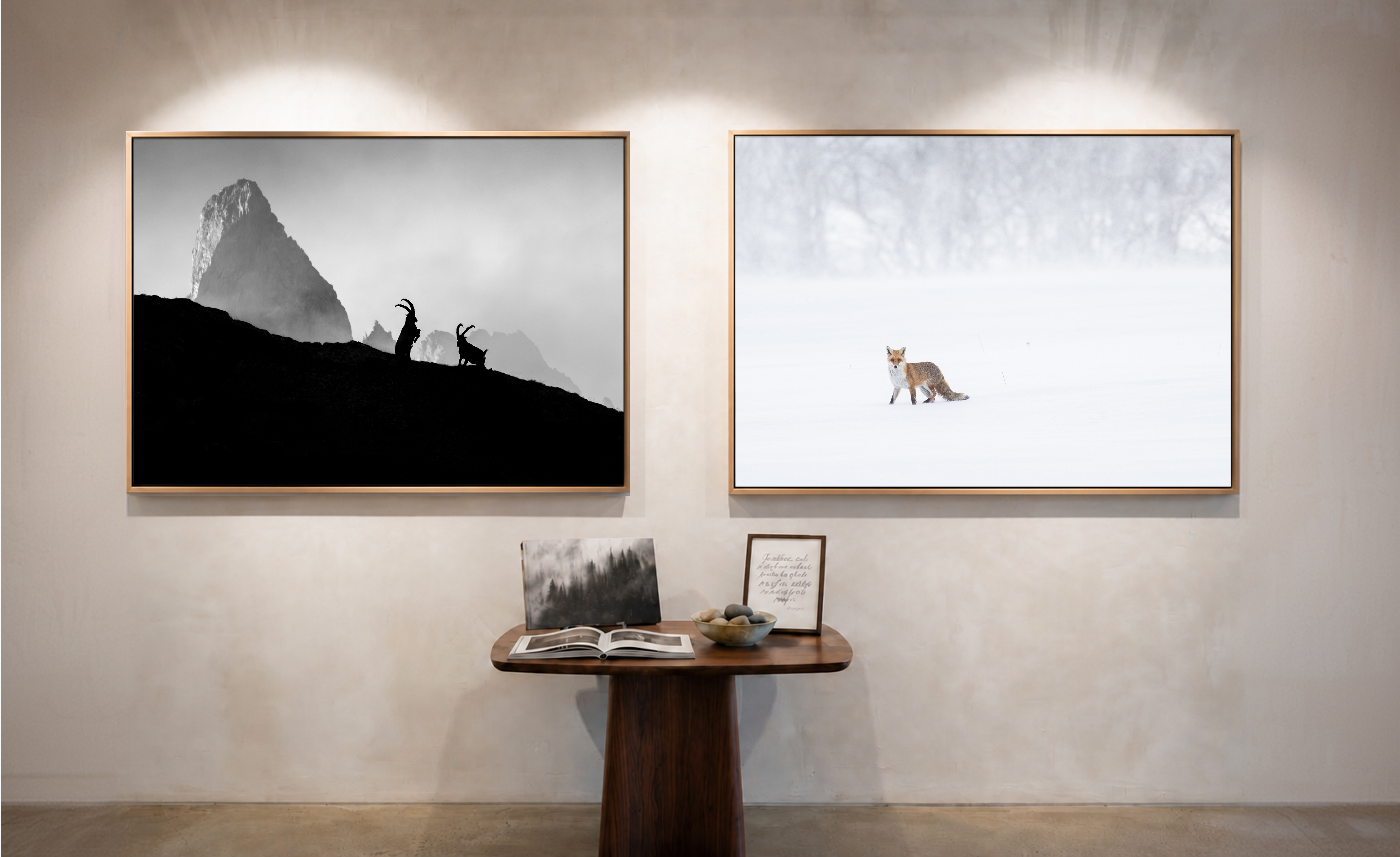 Mathieu Morel Photographe print tirage bouquetin suisse neige